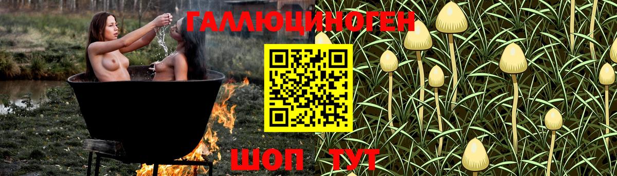 Выборг  Псилоцибиновые грибы прущие грибы  Псилоцибиновые грибы Psilocybe  Вход с VPN 