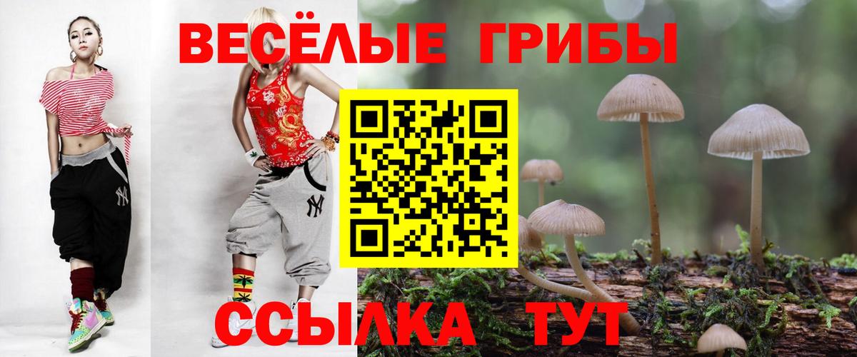 Галлюциногенные грибы MAGIC MUSHROOMS Выборг